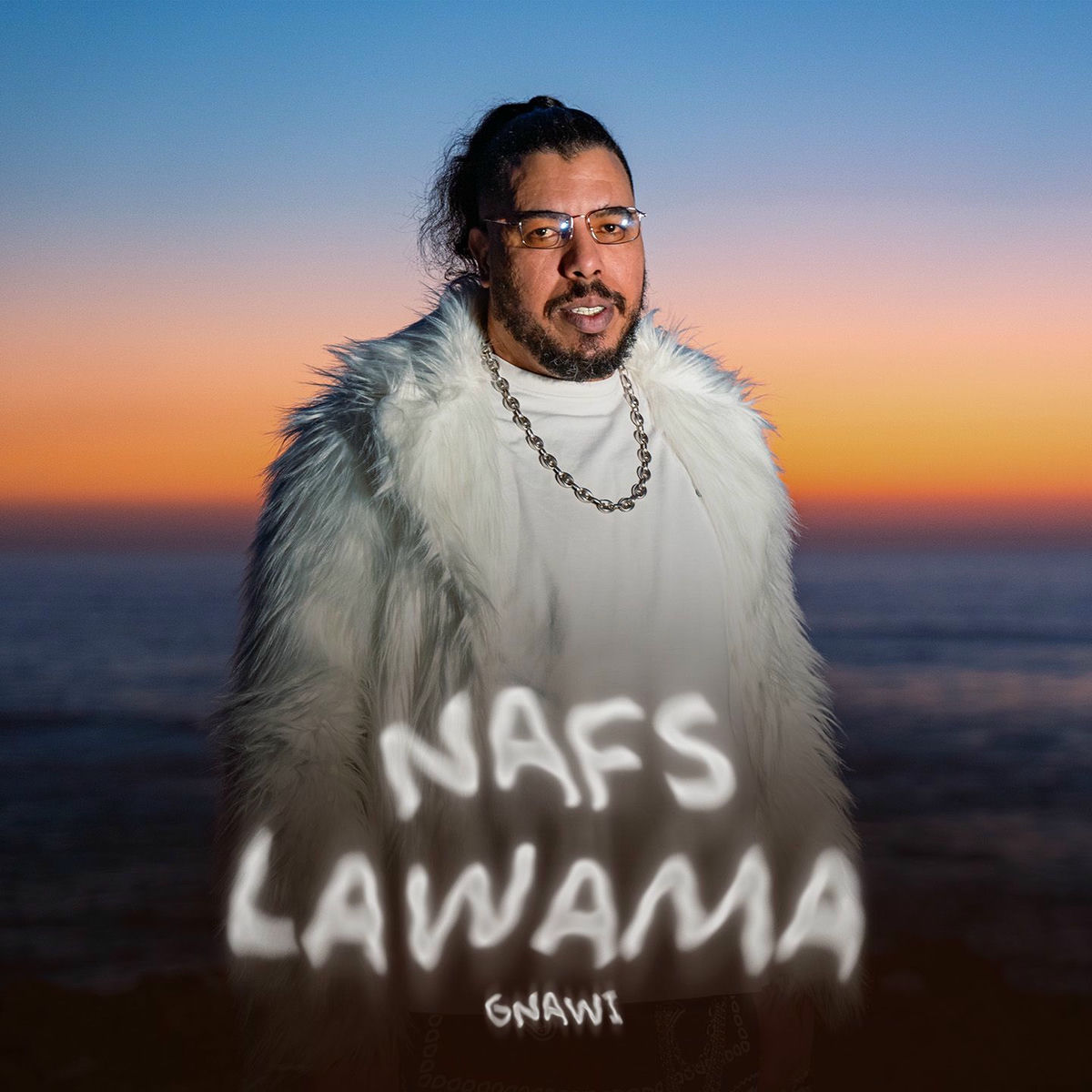 Album cover of Nafs Lawama