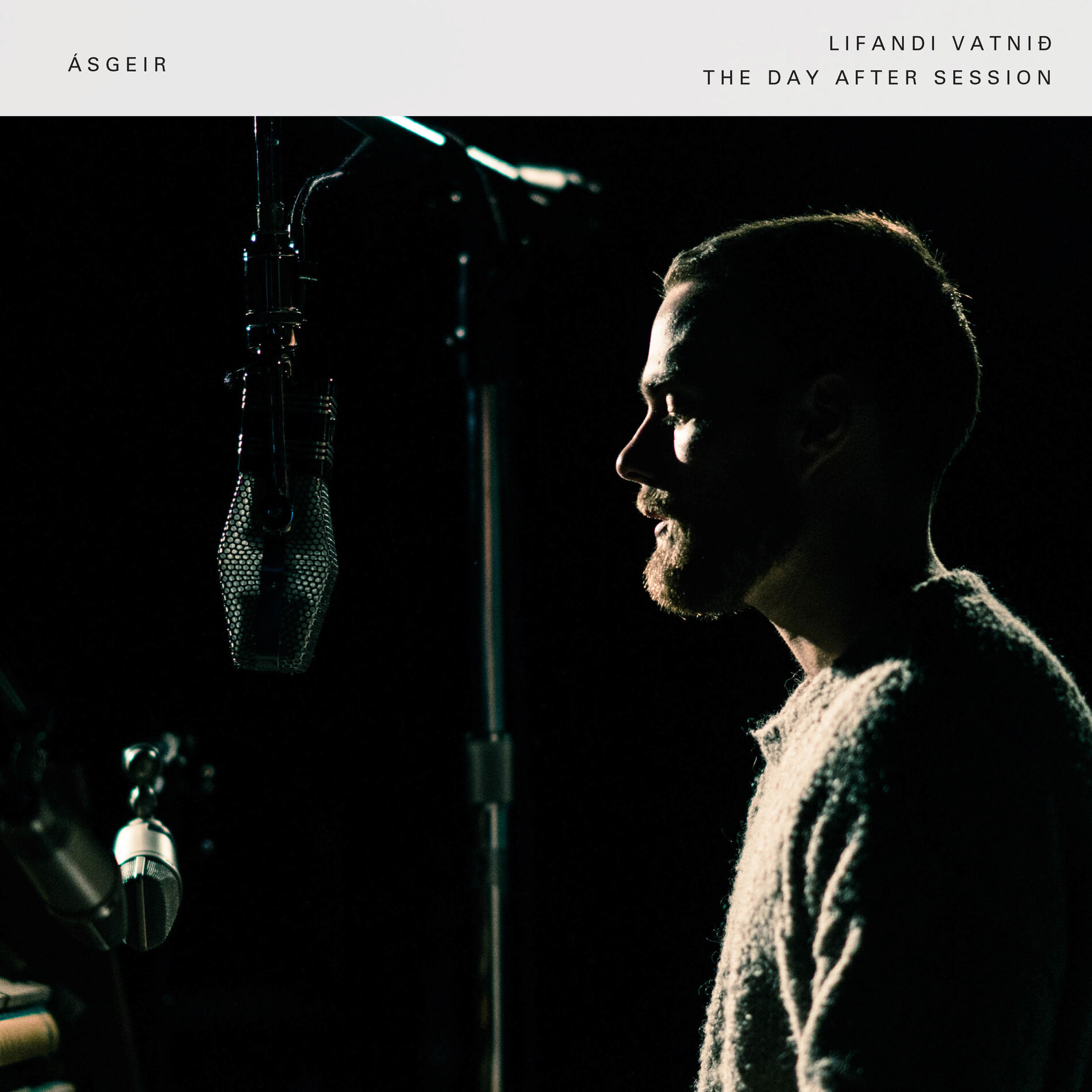 Album cover of Lifandi Vatnið (The Day After Session)