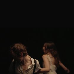 Cover of Koalas