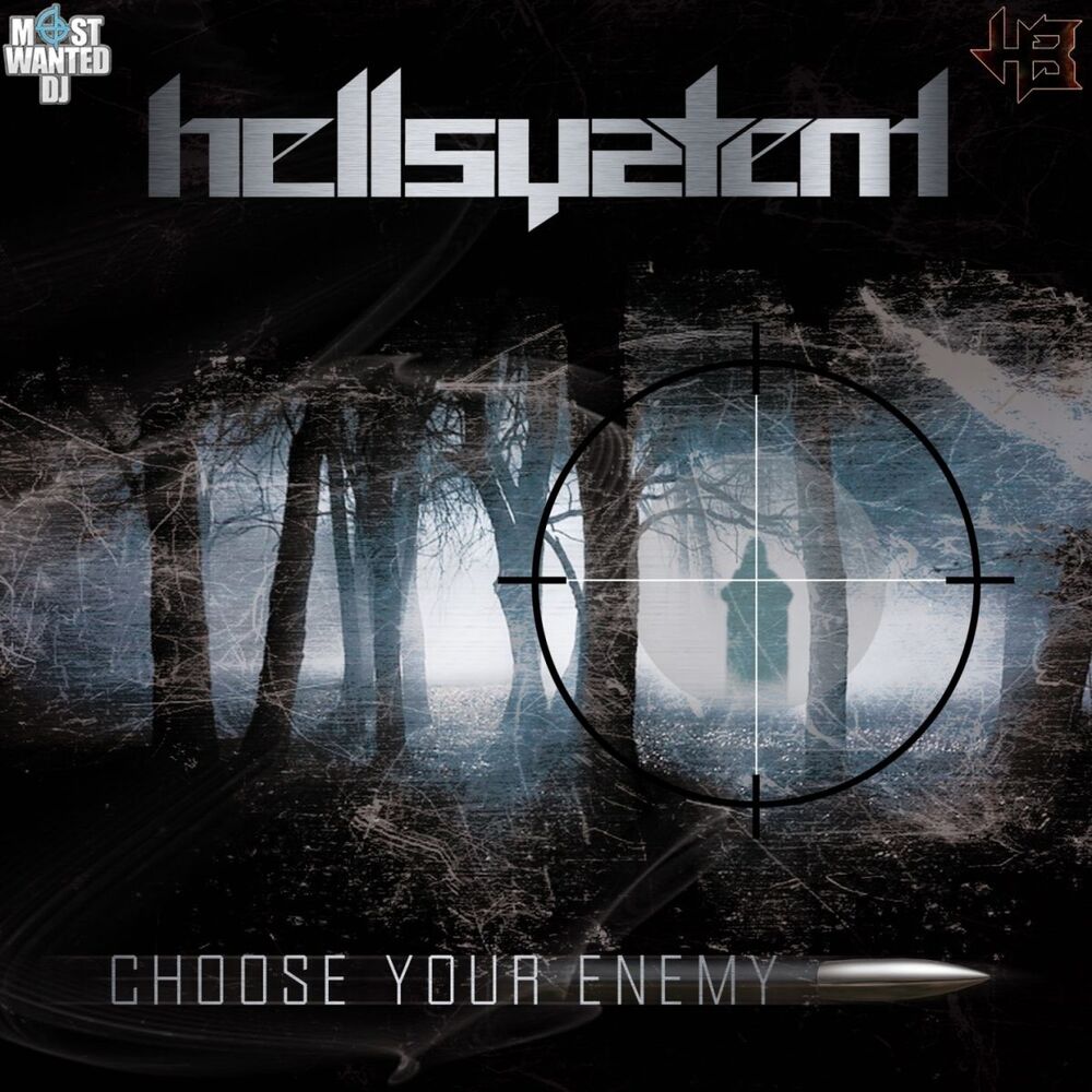 Picture of Choose Your Enemy