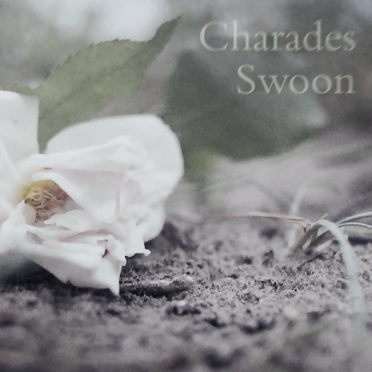 Album cover of Swoon