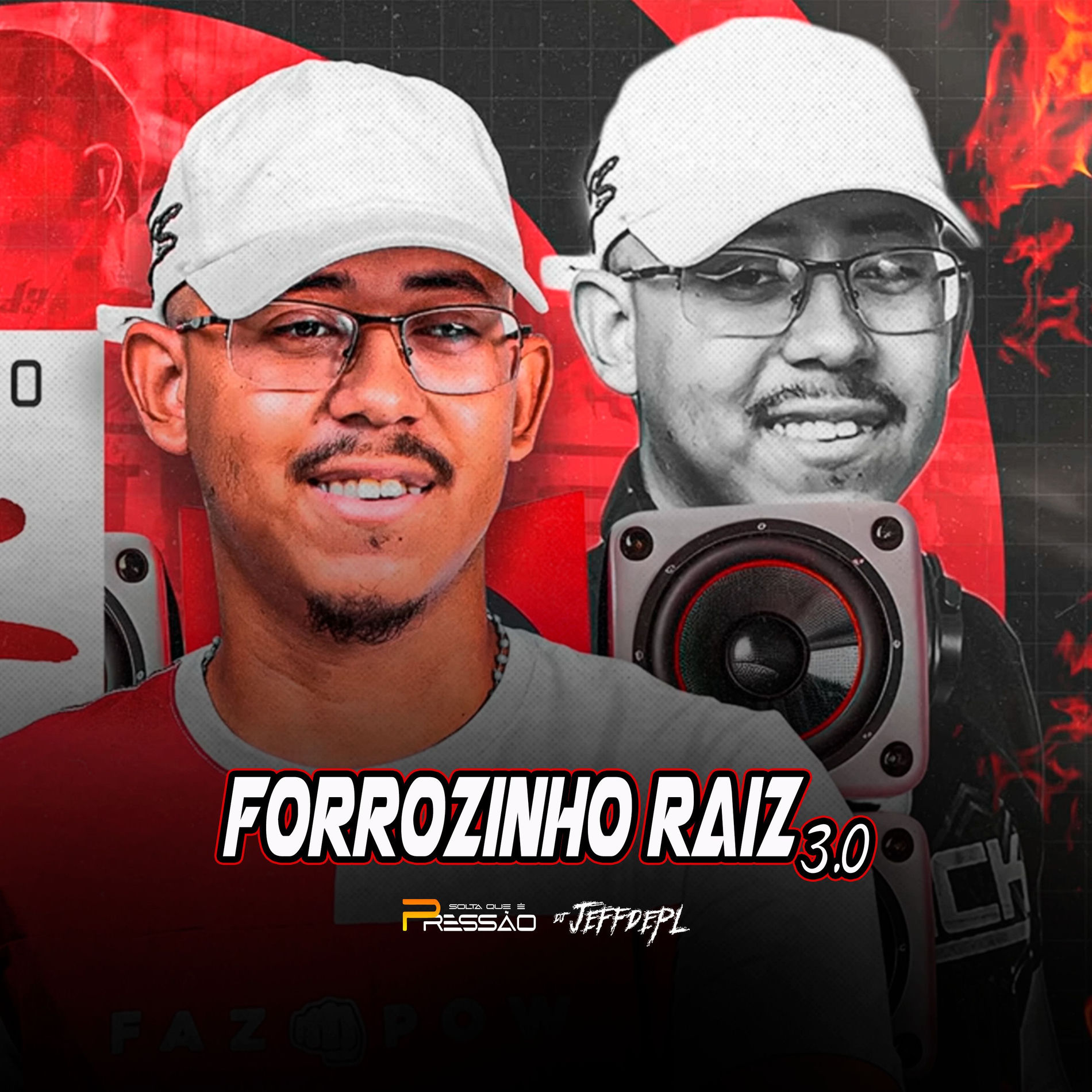 Album cover of Forrozinho Raiz 3.0