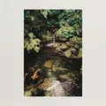 A Letter in Summer
