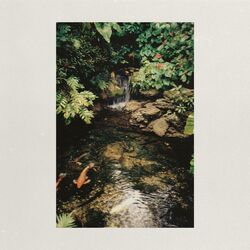 Cover of A Letter by the Lake