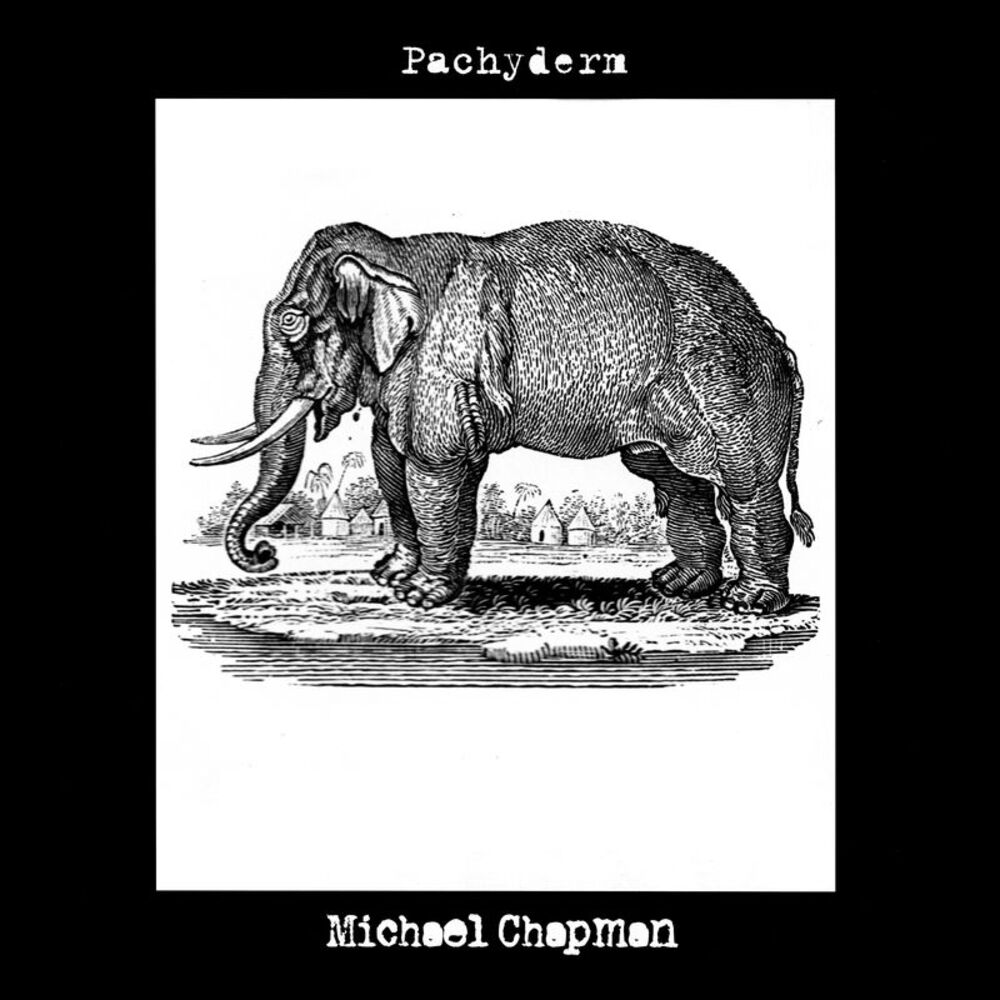 Picture of Pachyderm