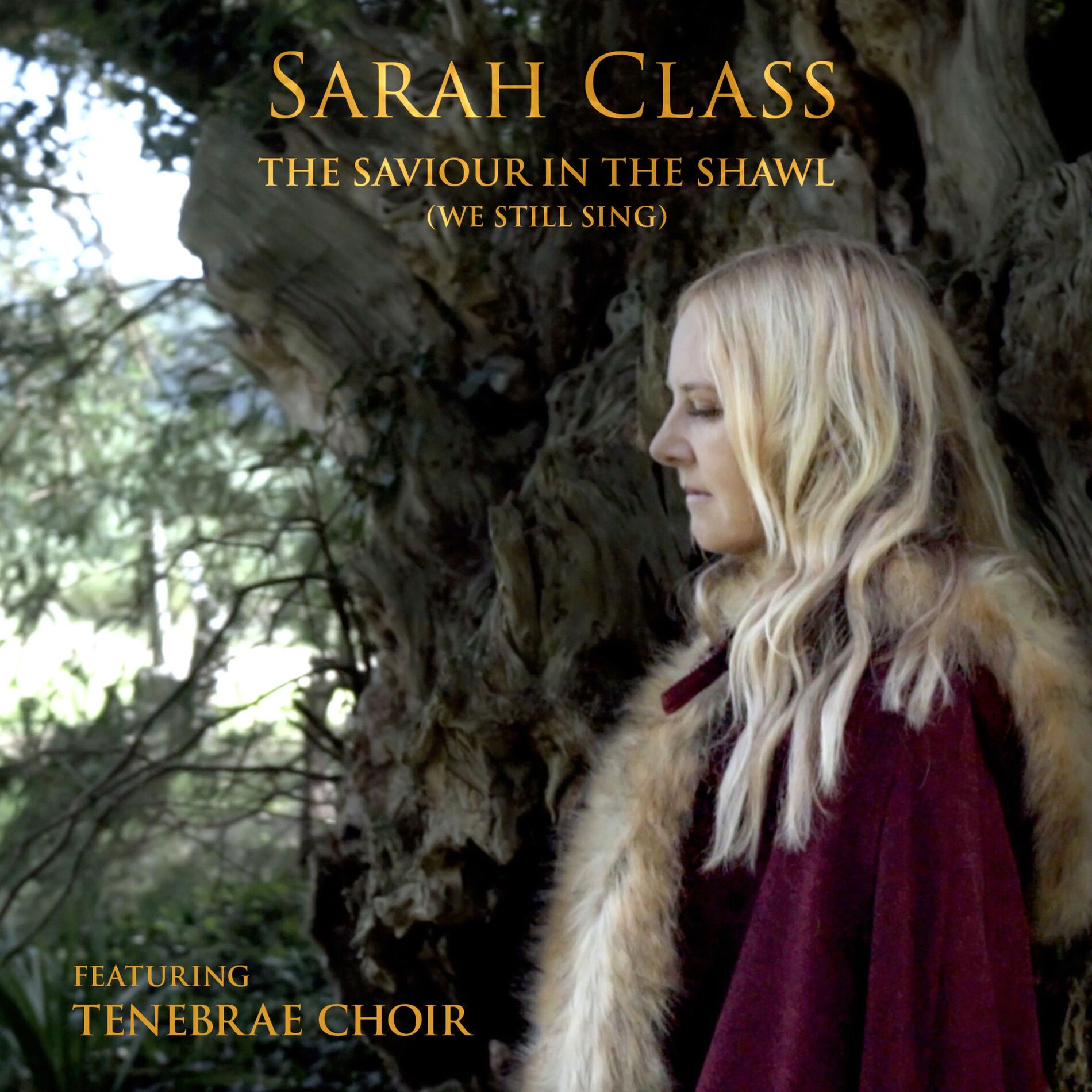 Album cover of The Saviour in the Shawl (We Still Sing)