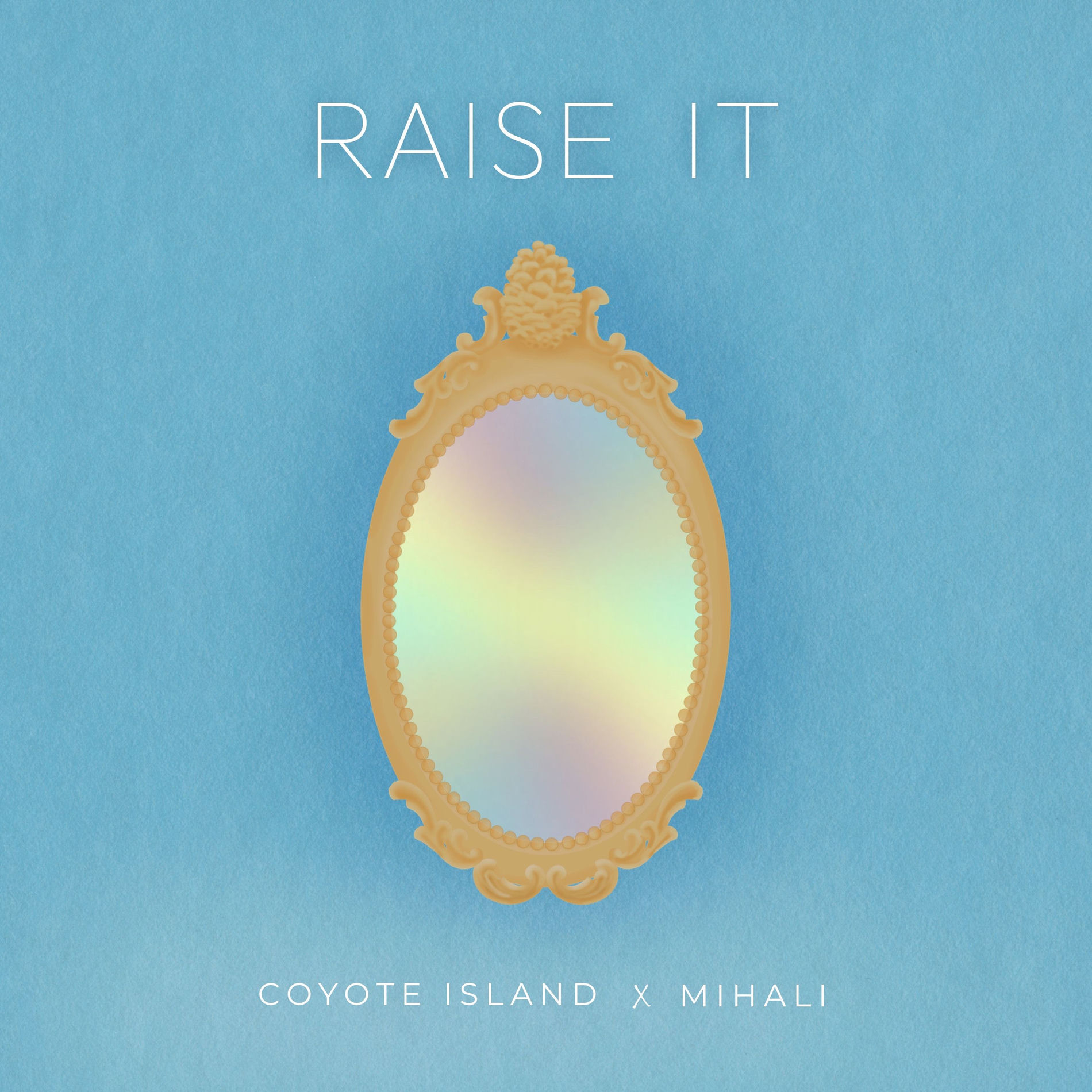Album cover of Raise It