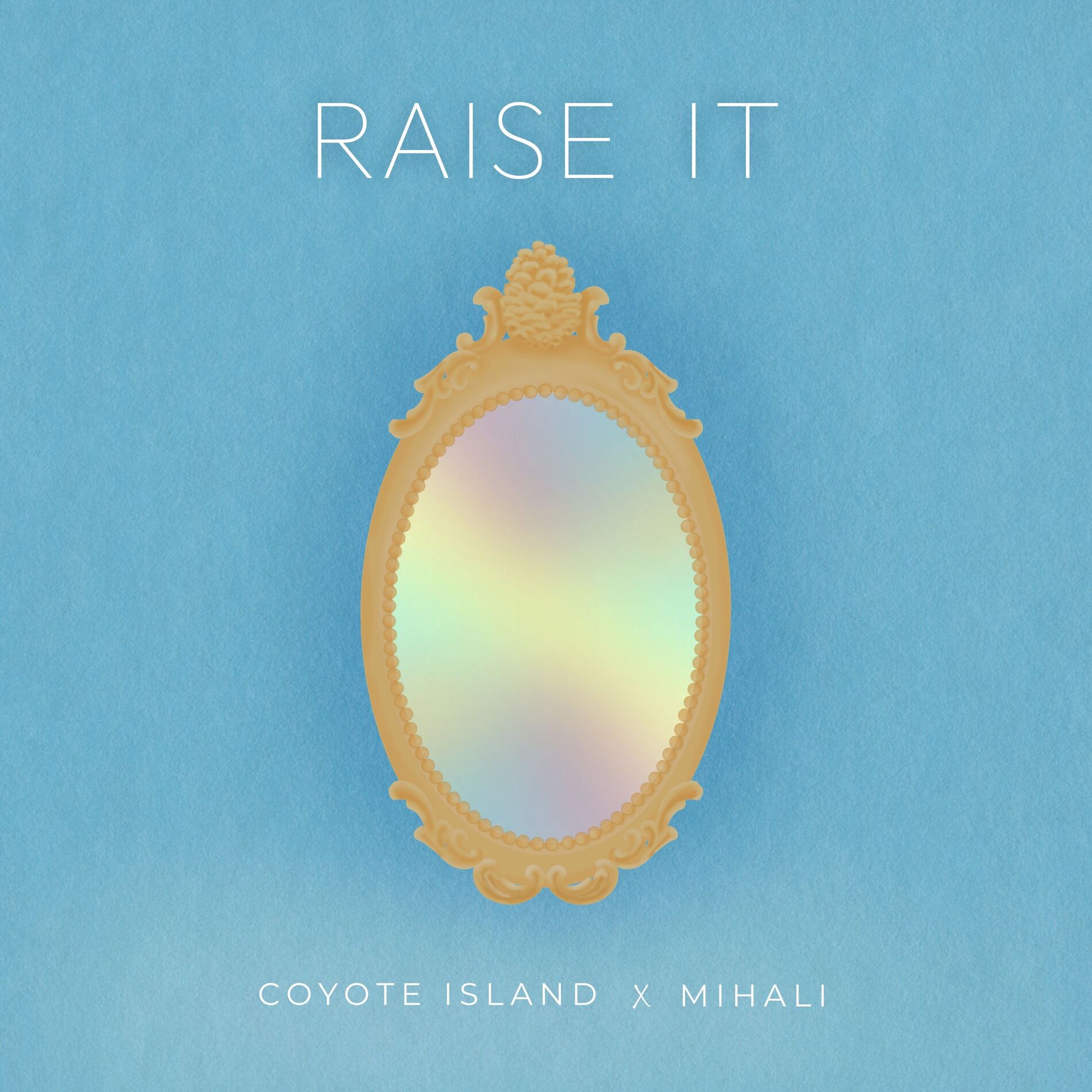 Album cover of Raise It