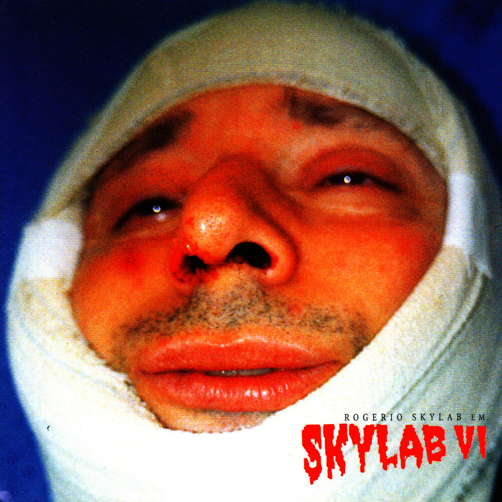 Picture of Skylab VI
