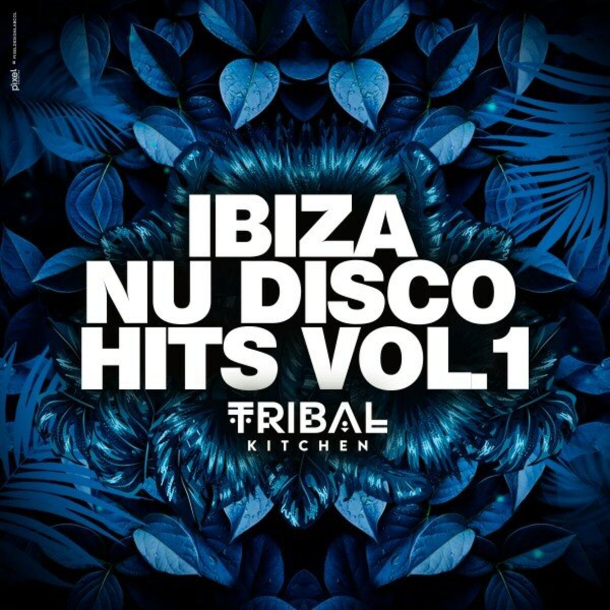 Album cover of Ibiza Nu Disco Hits Vol. 1 (Tribal Kitchen)