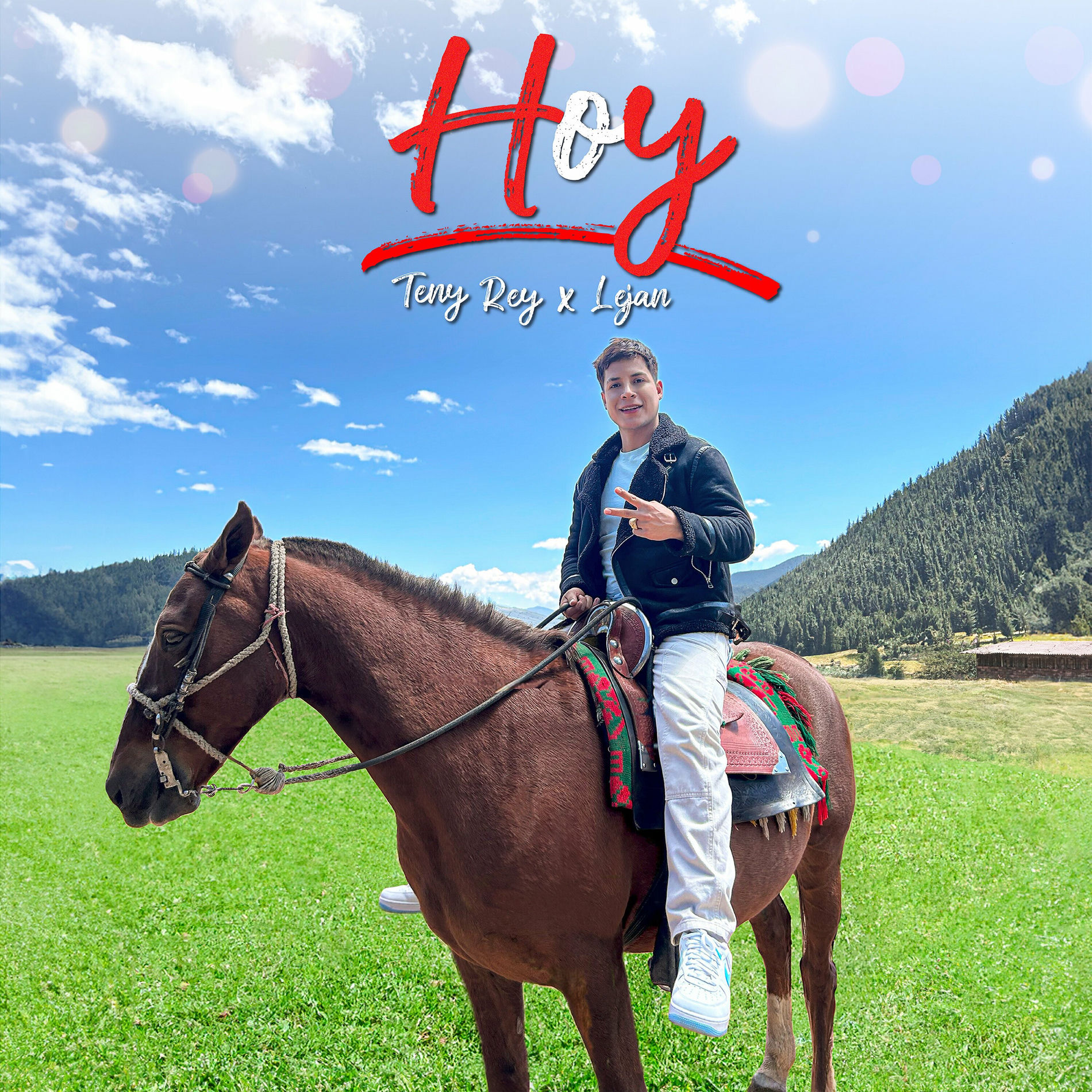 Album cover of Hoy