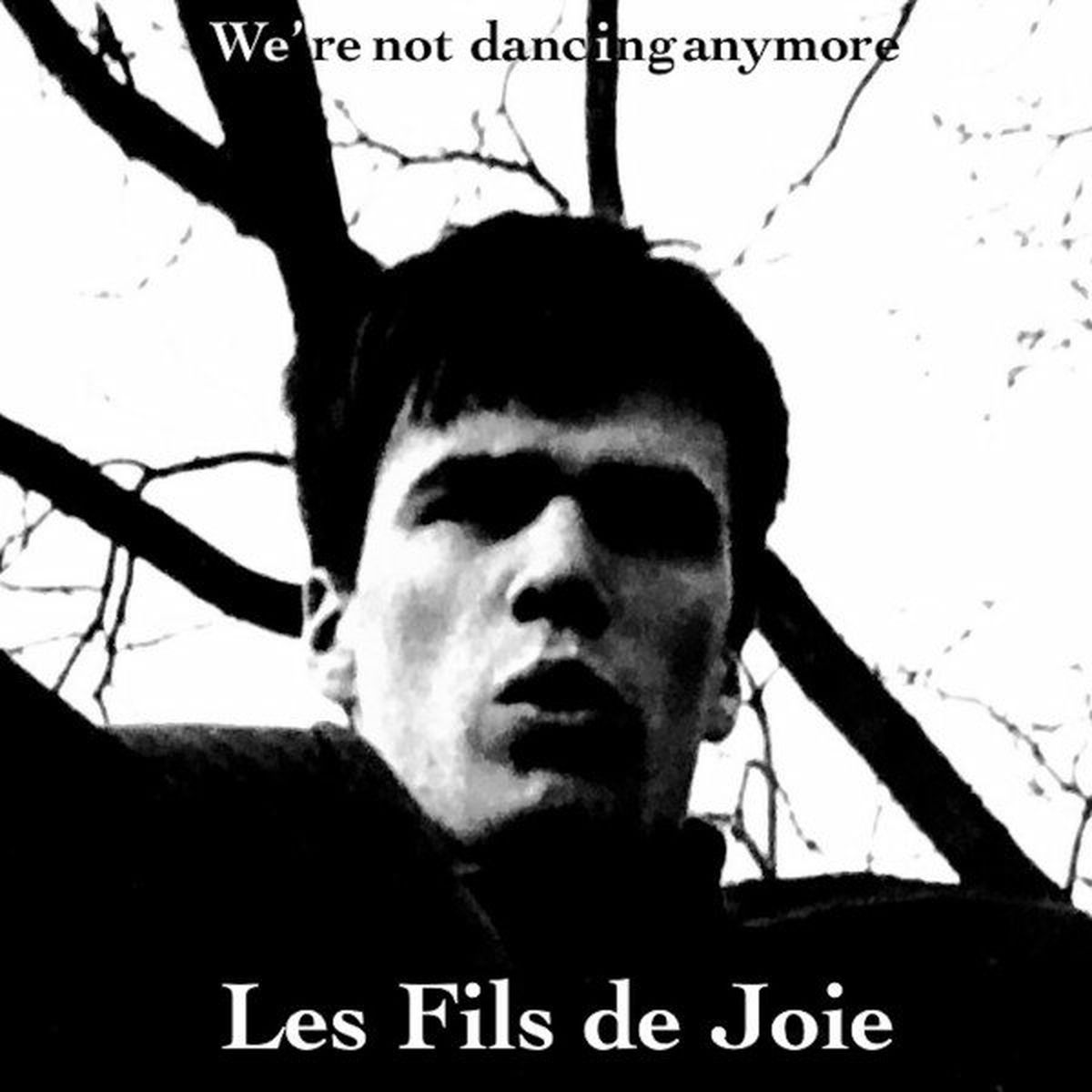 Album cover of We're Not Dancing Anymore