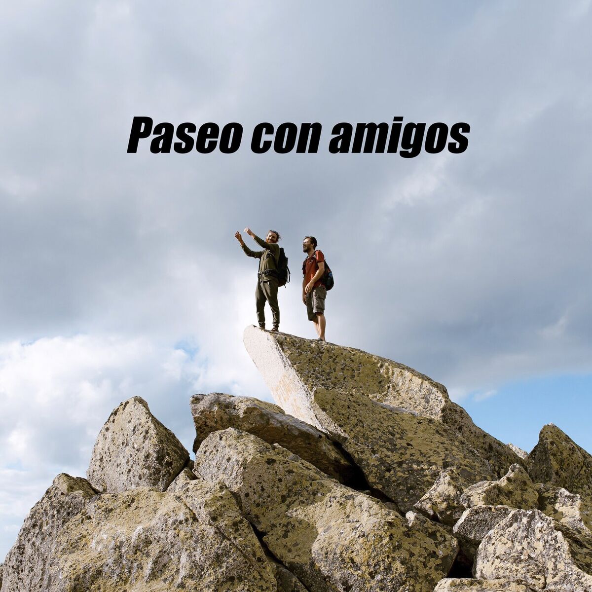 Album cover of Paseo con amigos