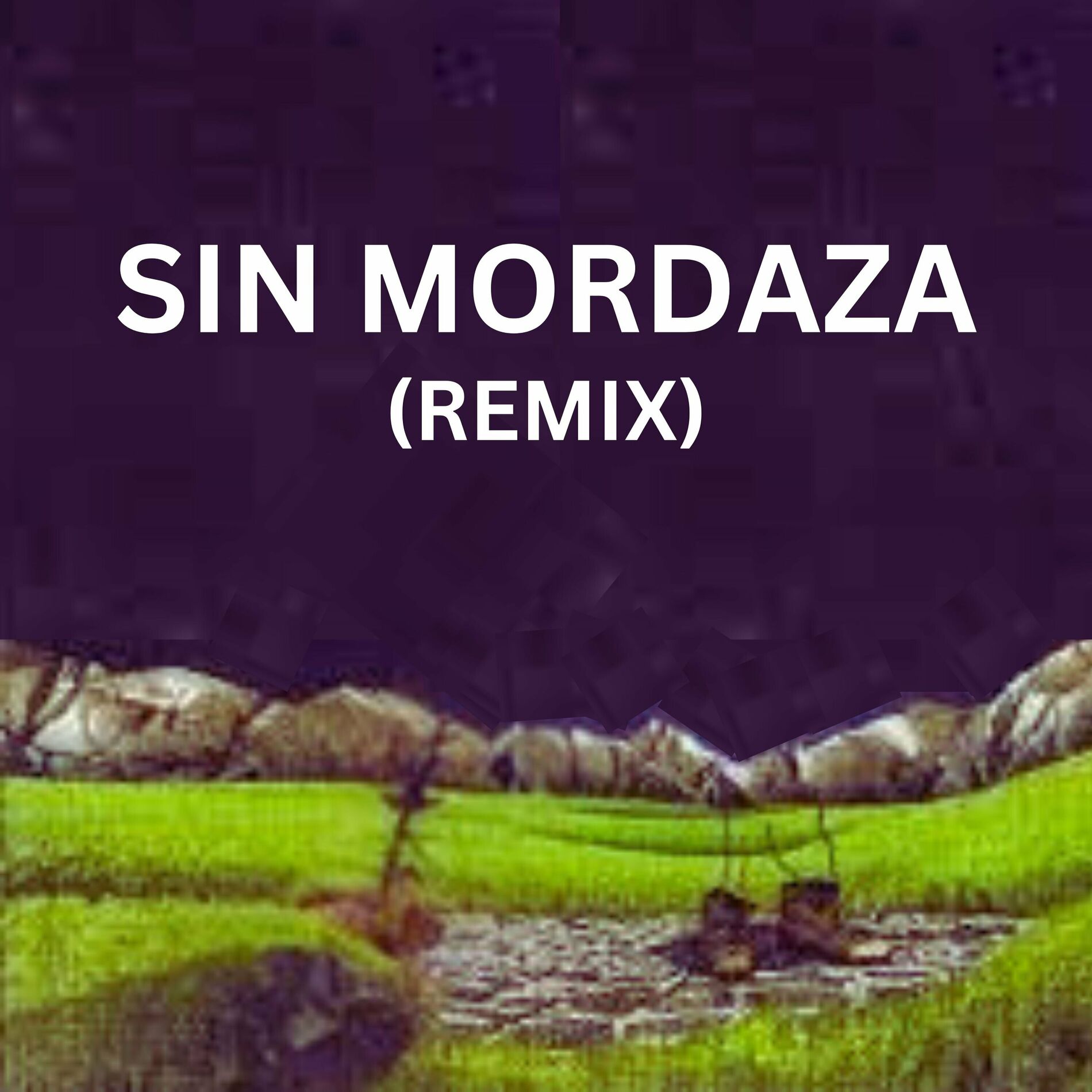 Album cover of Sin Mordaza