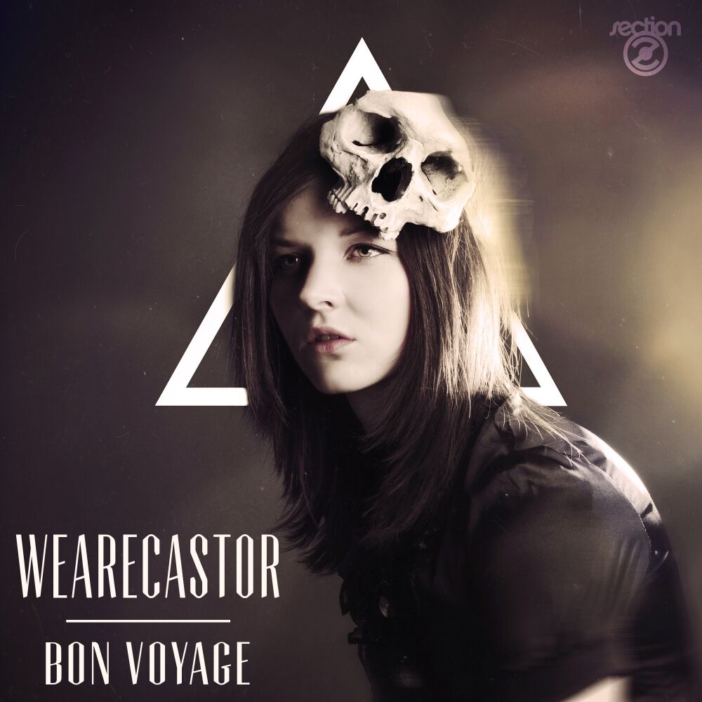 Picture of Bon Voyage