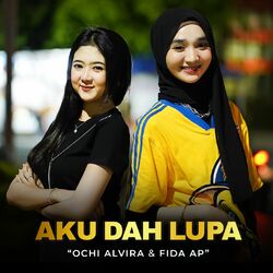 Cover of Aku Dah Lupa