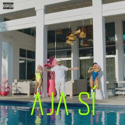 Cover of AJA SI