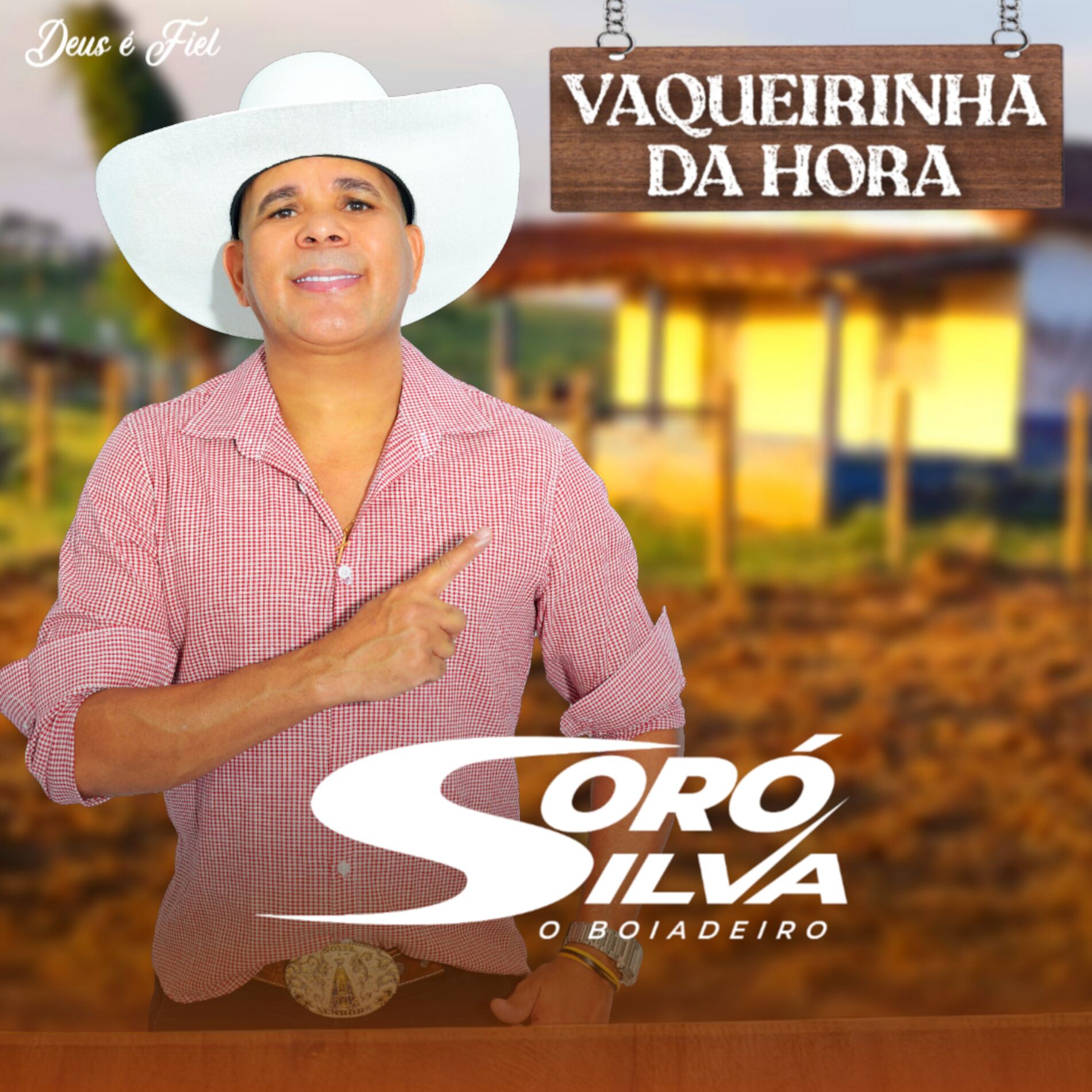 Album cover of Vaqueirinha da Hora