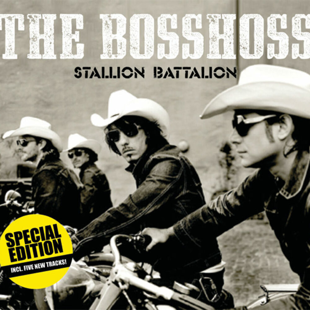 Picture of Stallion Battalion
