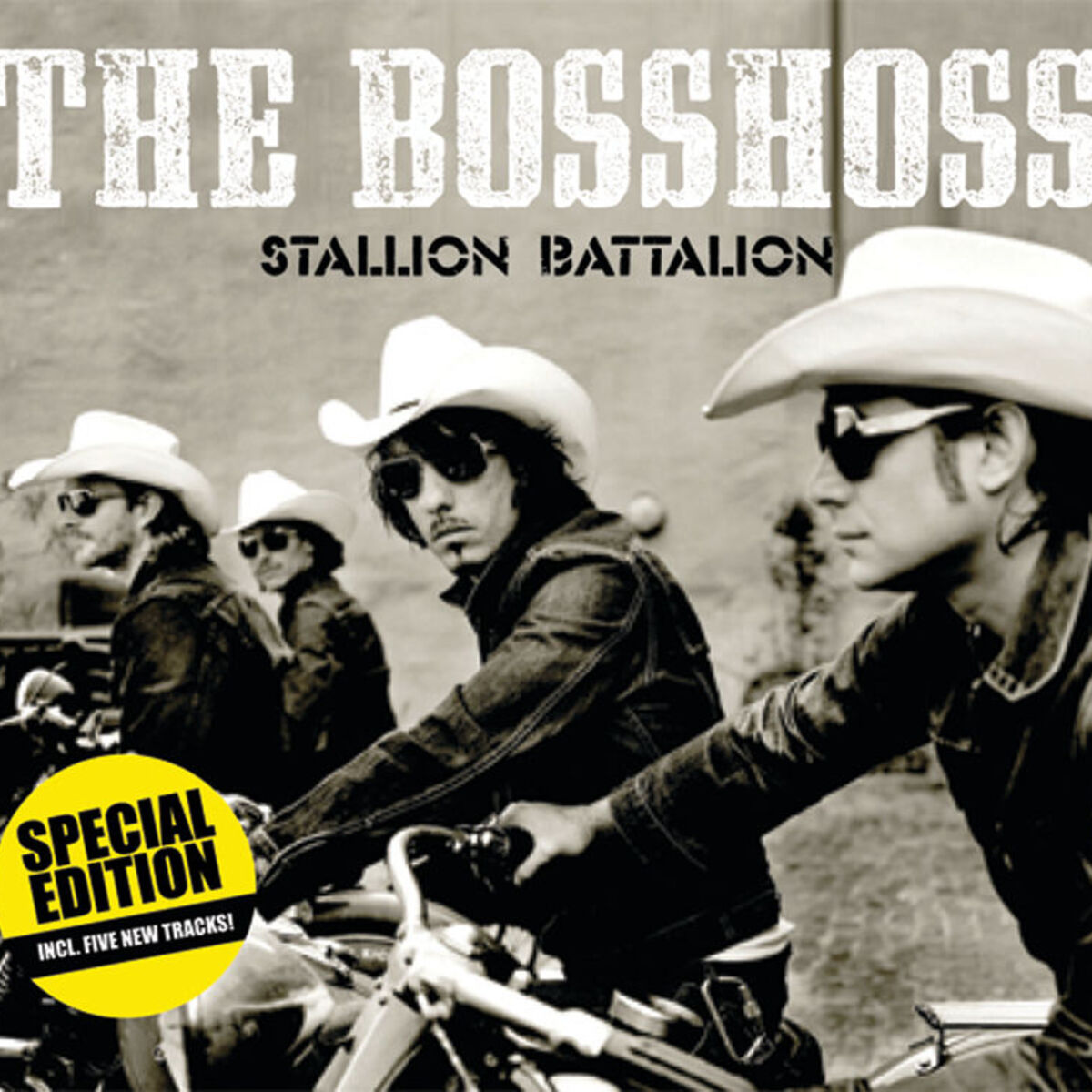 Album cover of Stallion Battalion