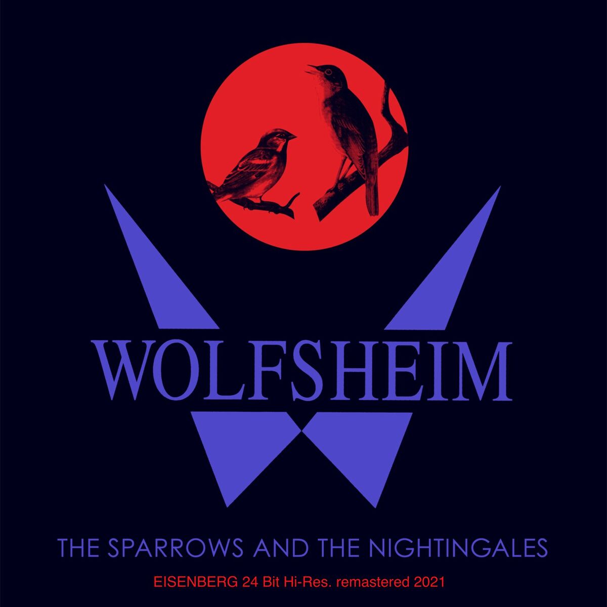 Album cover of The Sparrows And The Nightingales (Long Version)