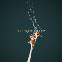 Cover of Taste of Grey