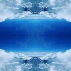 Cover of Night Visions