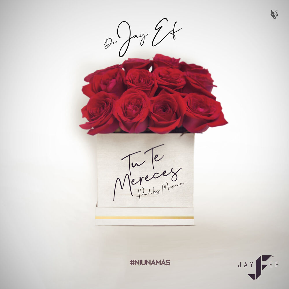 Picture of Tu Te Mereces