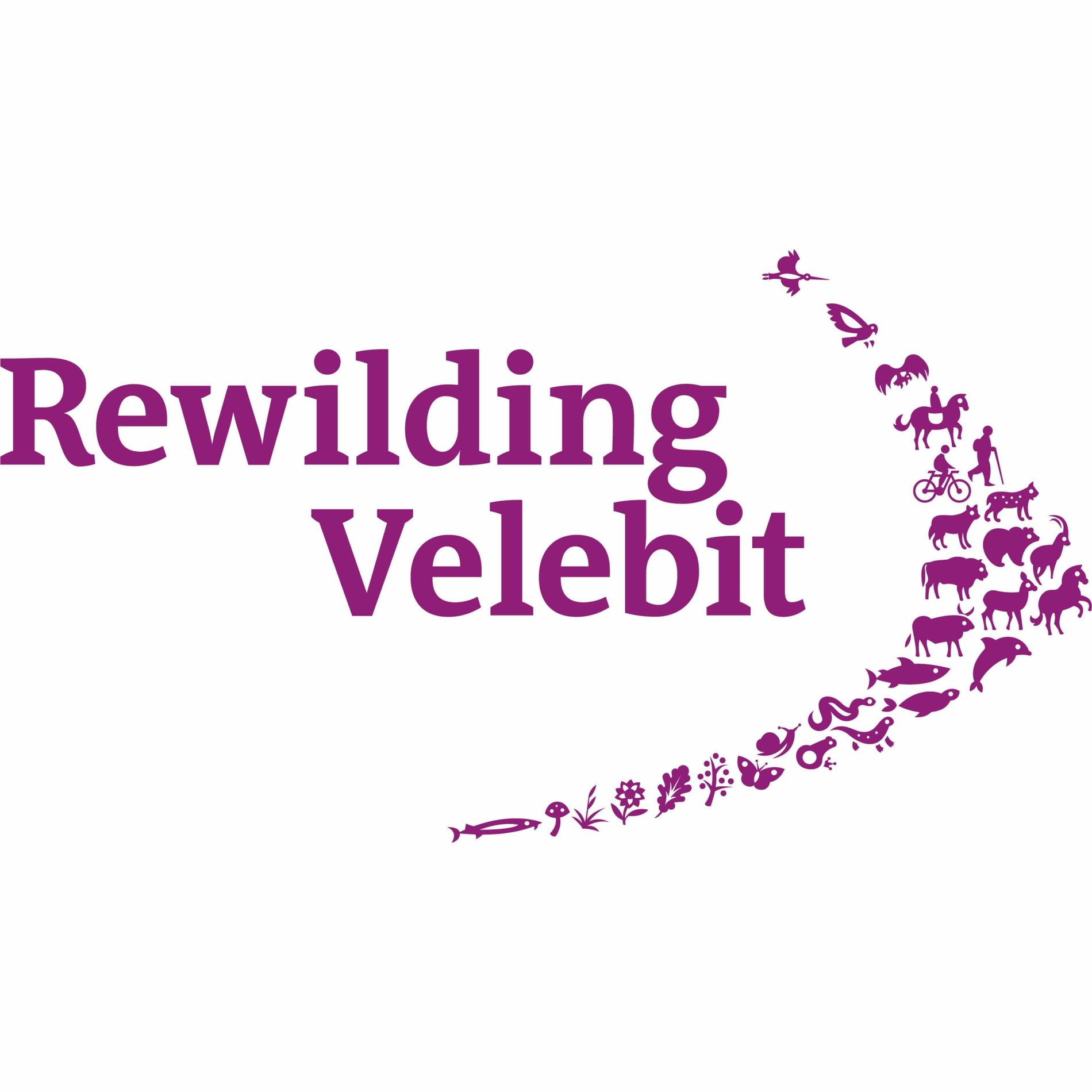 Album cover of Rewilding (feat. Kuku$)