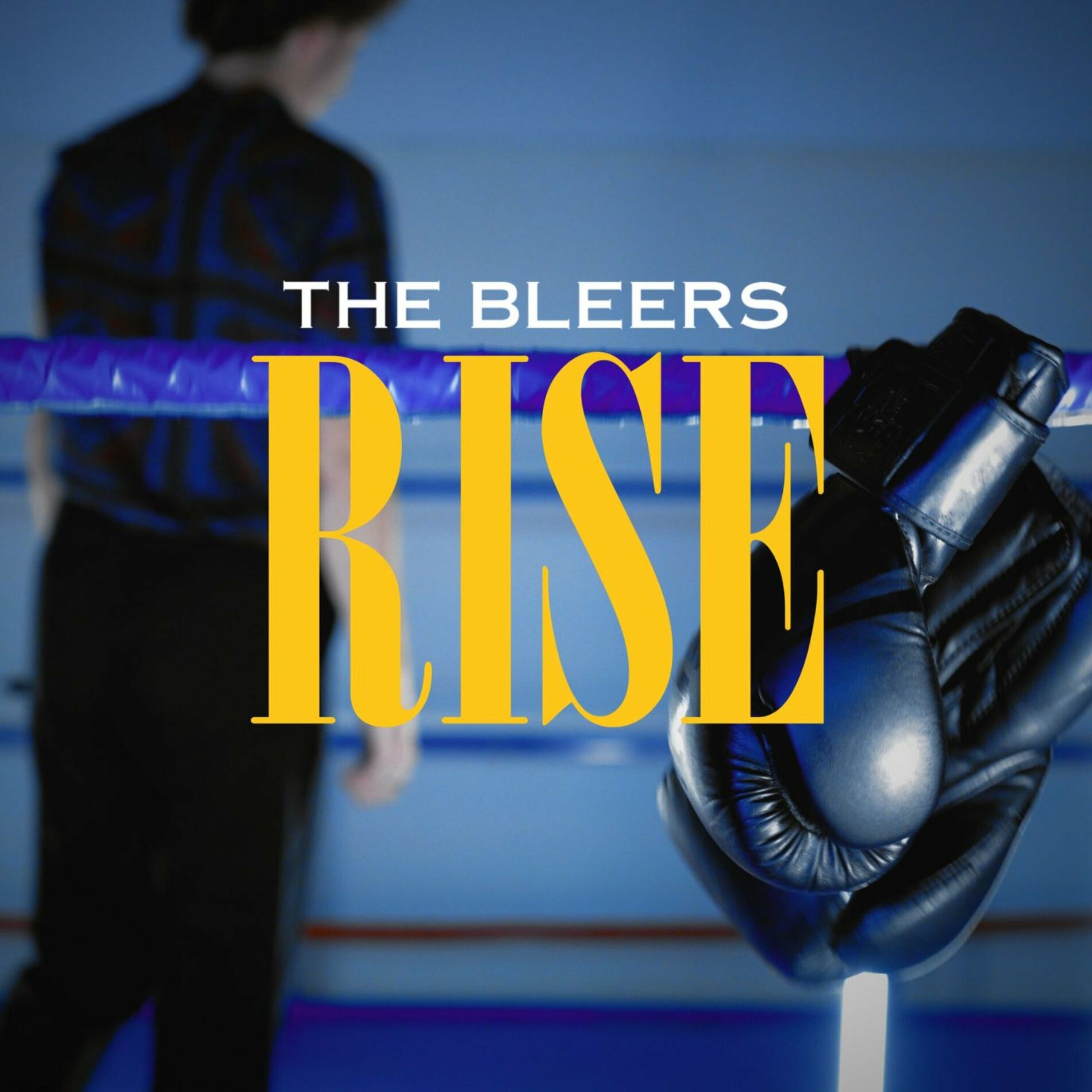 Album cover of Rise