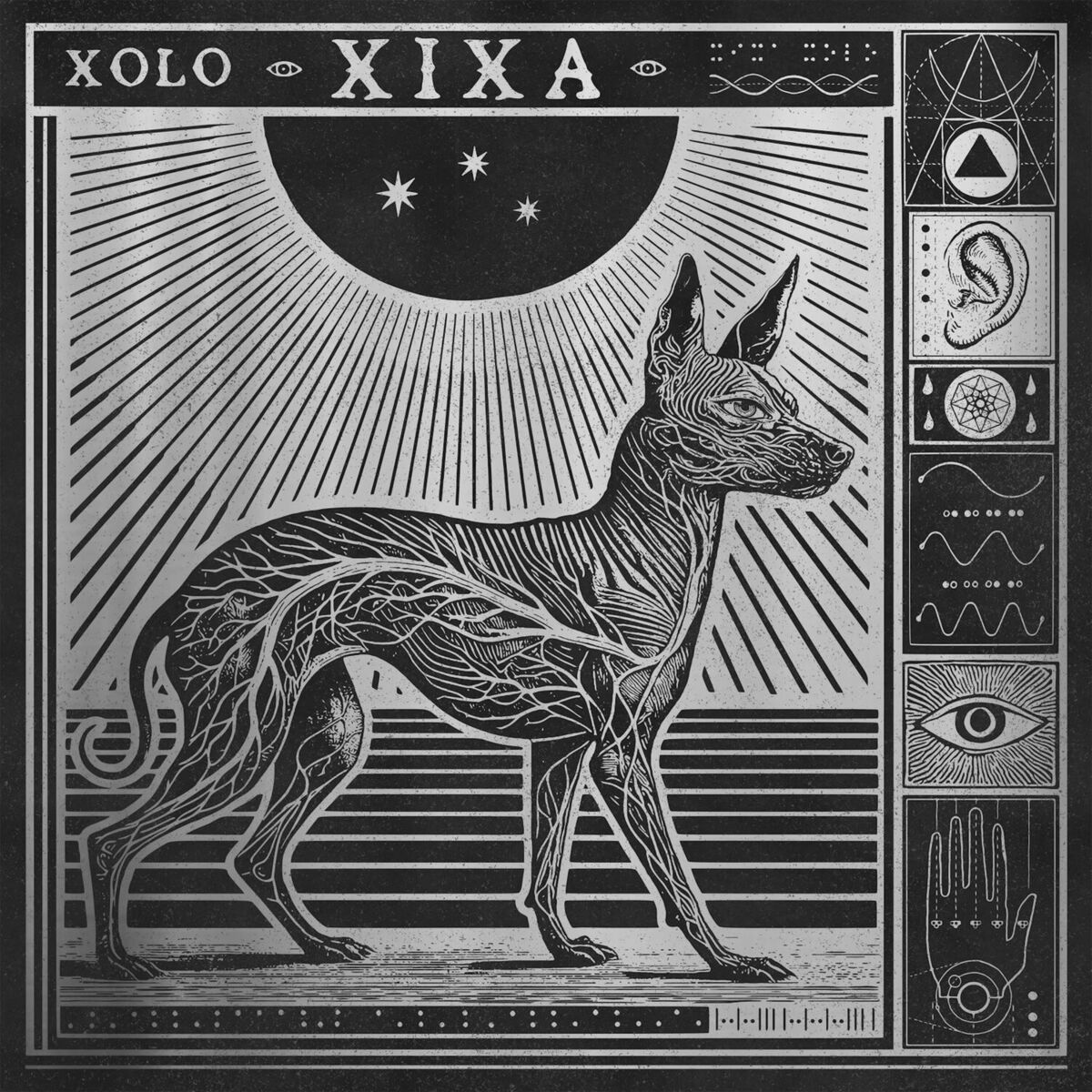 Album cover of XOLO