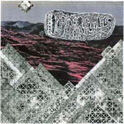 Cover of Midnite Cobras