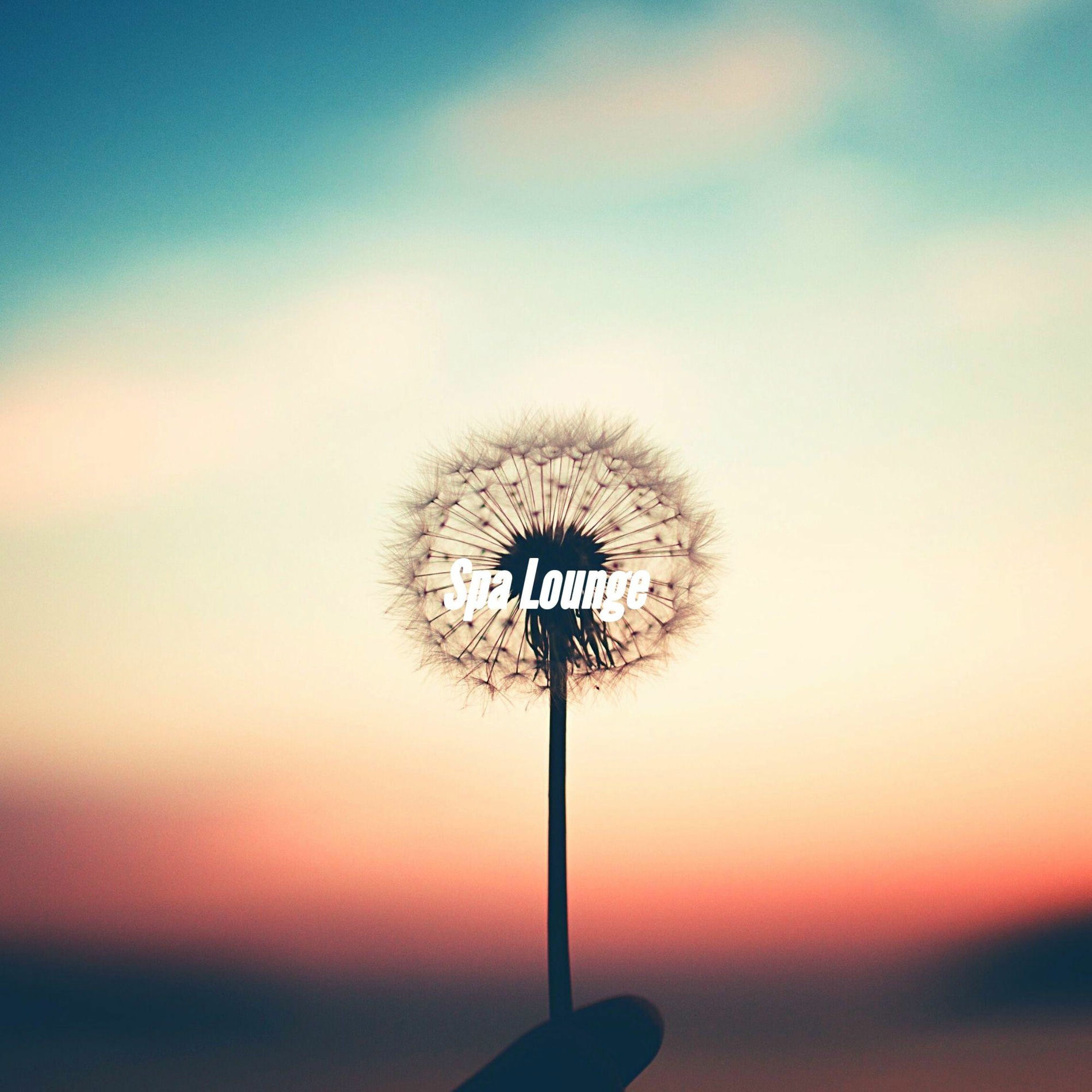 Album cover of Spa Lounge