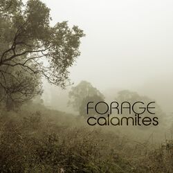 Cover of Calamites