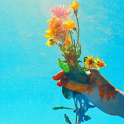 Summertime Sadness