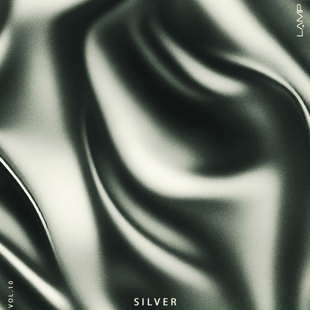 Picture of Silver, Vol. 10