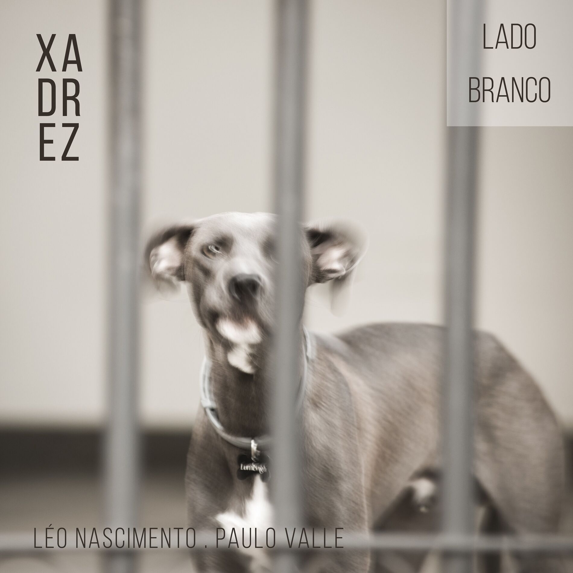 Album cover of Xadrez - Lado Branco