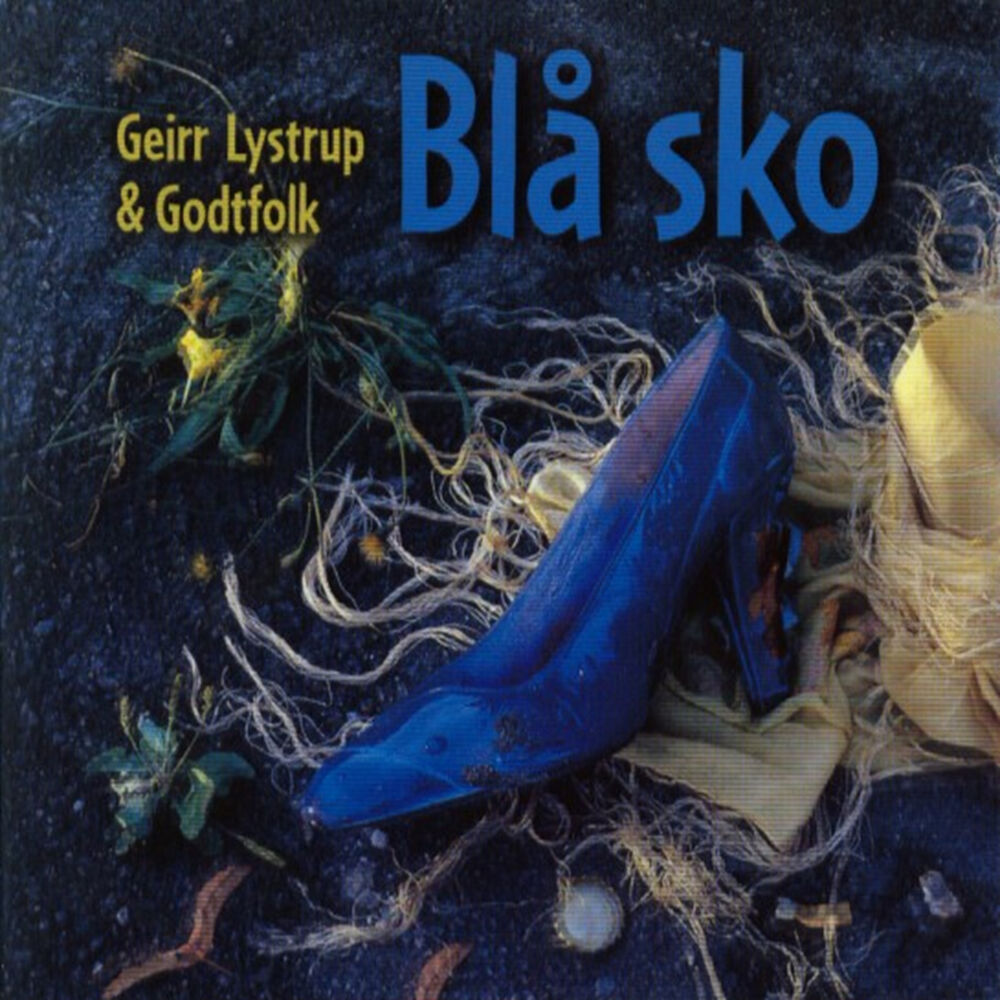 Picture of Blå Sko