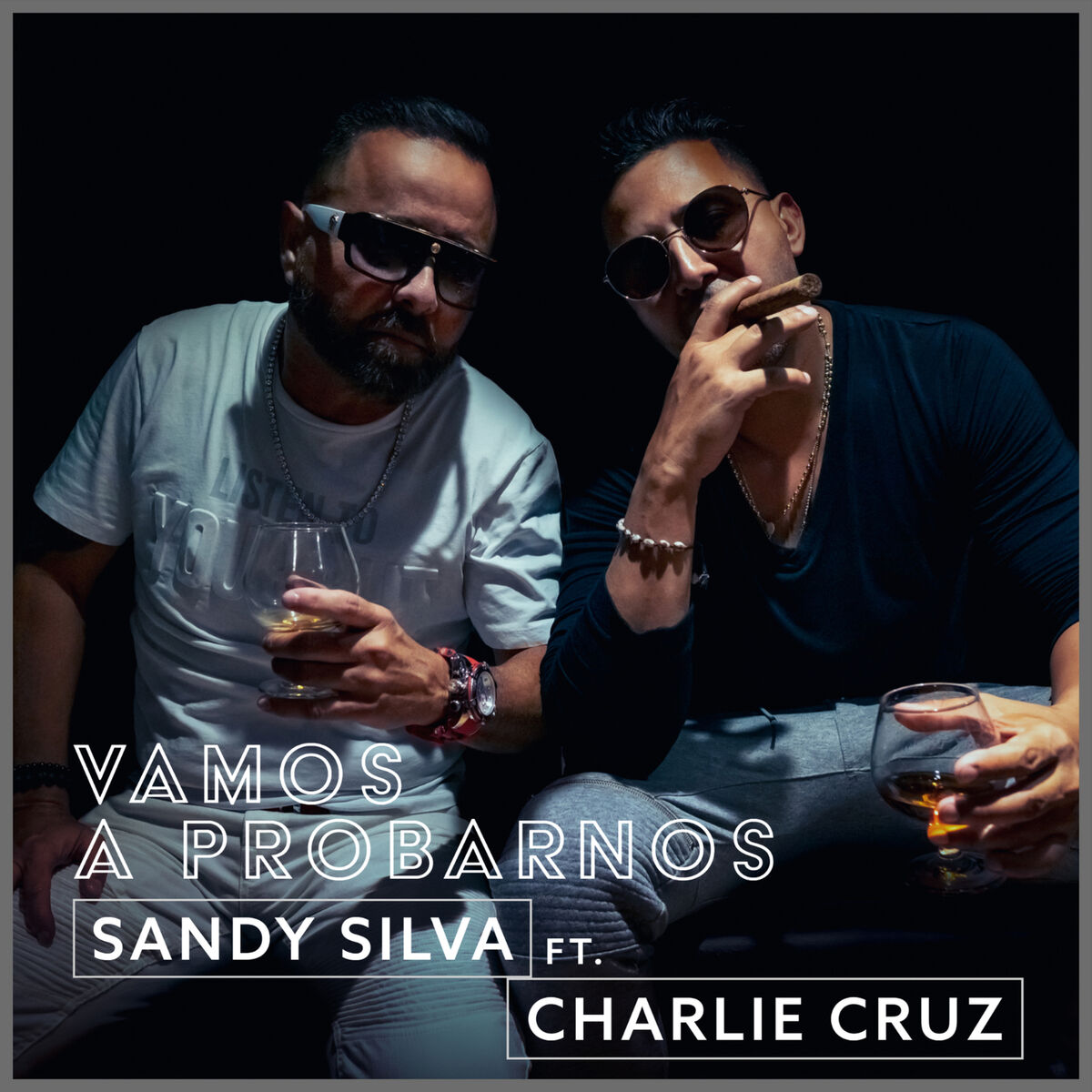 Album cover of Vamos a Probarnos
