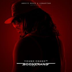 Cover of Boomerang