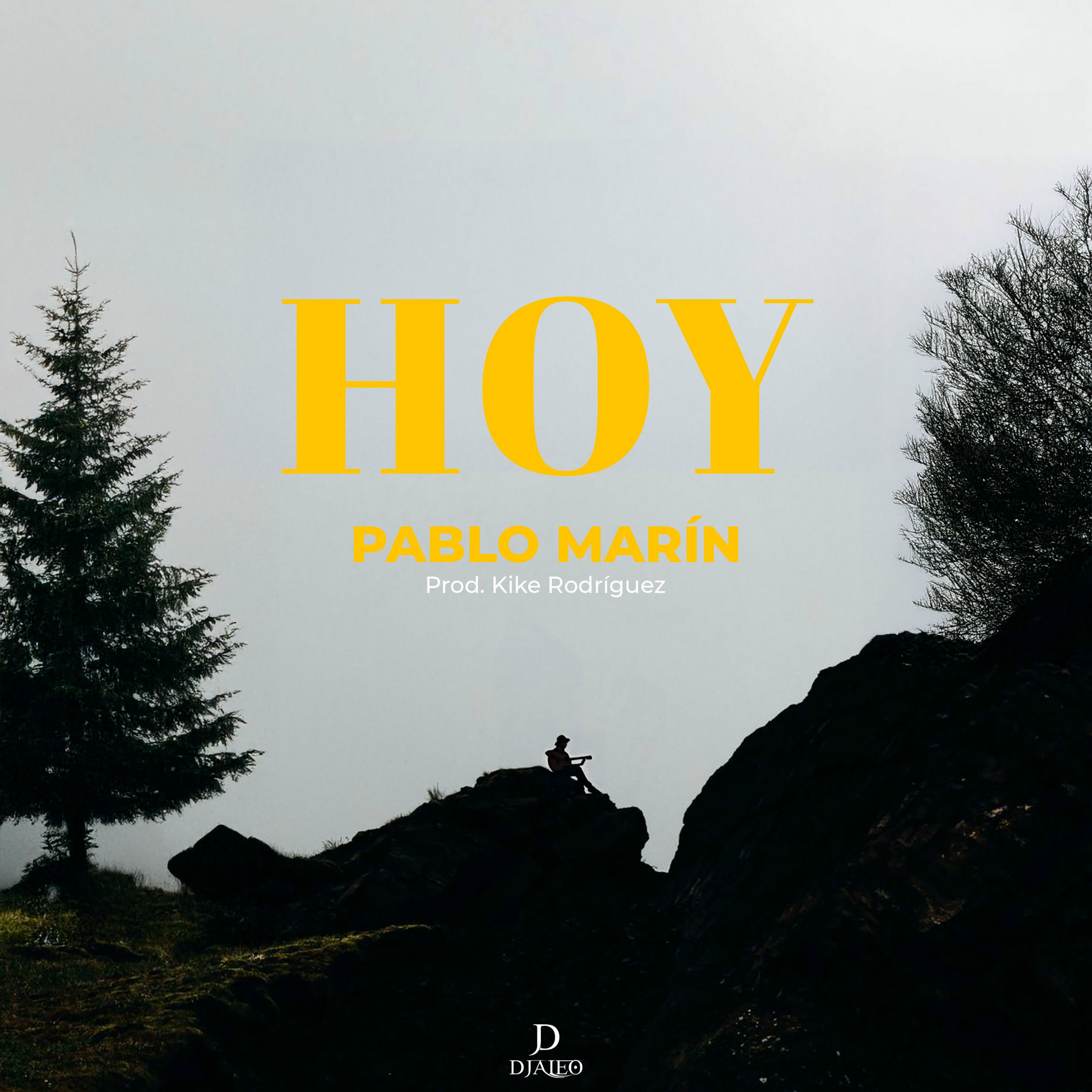 Album cover of Hoy