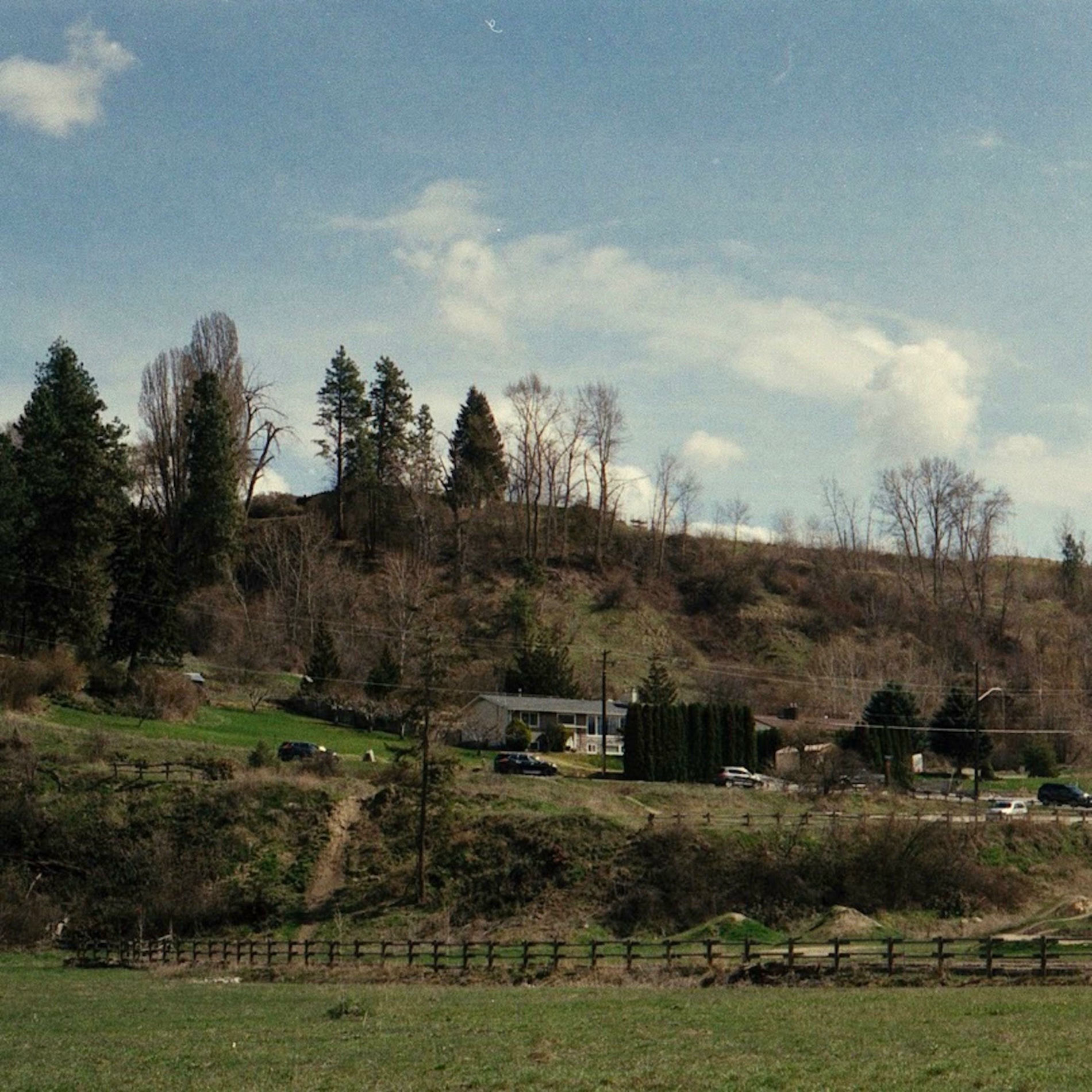 Album cover of She Said