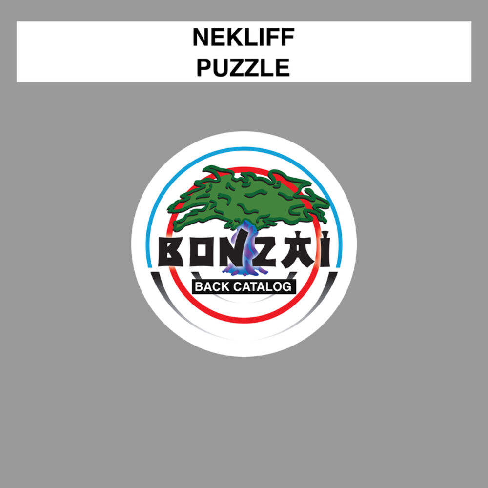 Picture of Puzzle