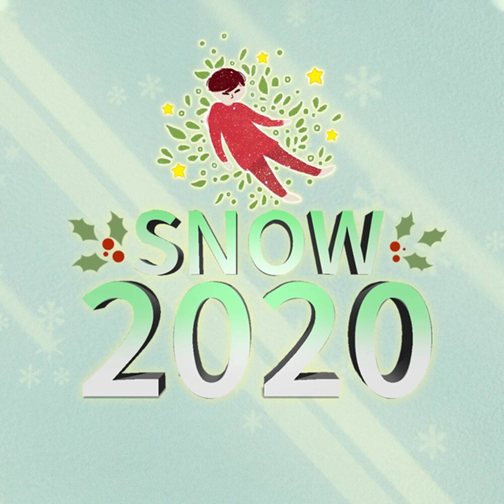Picture of Snow 2020