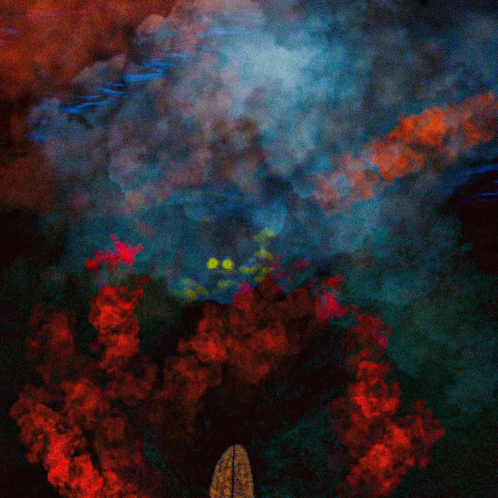 Album cover of Denali
