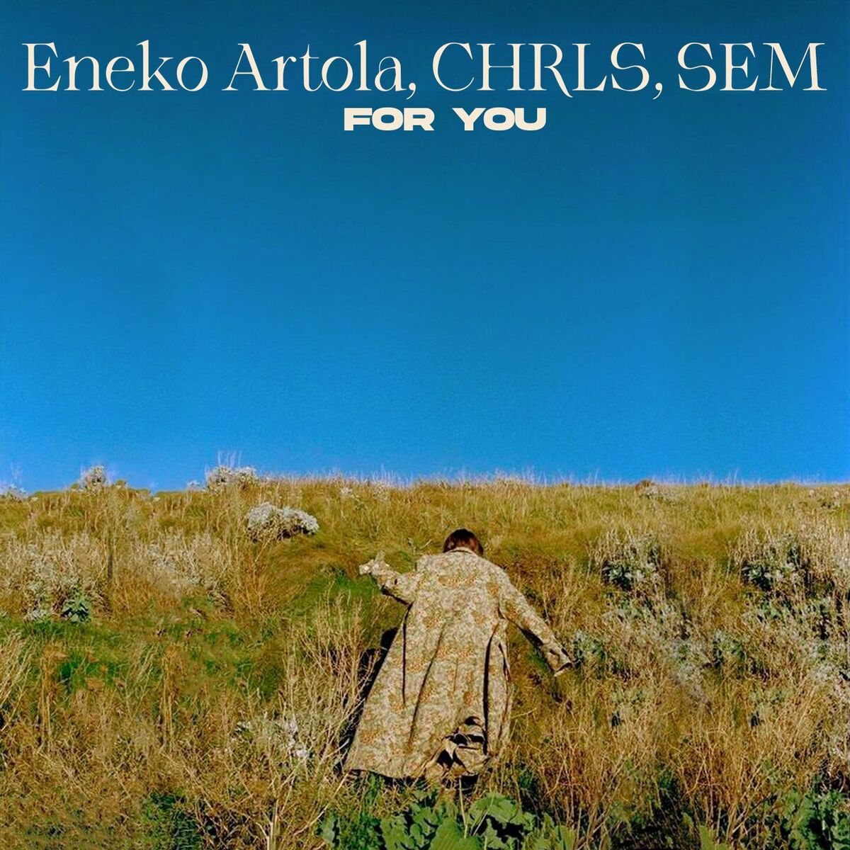 Album cover of For You