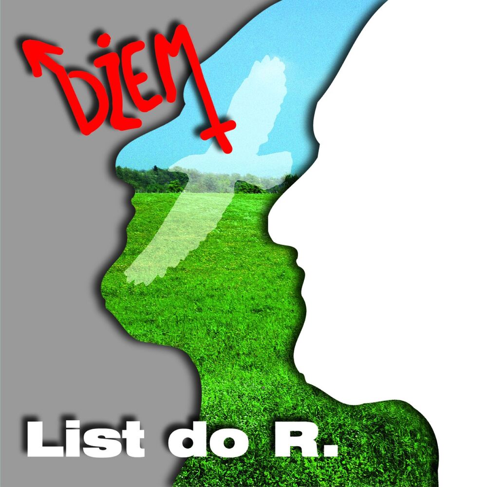 Picture of List Do R