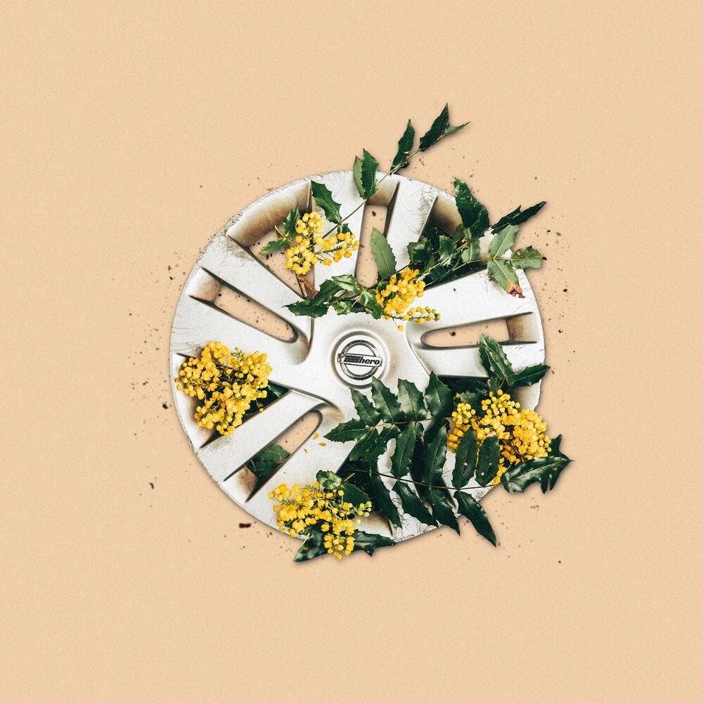 Picture of Flowers