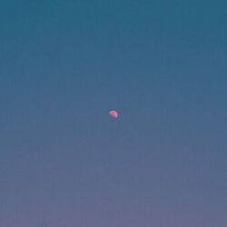 Cover of But There's Still The Moon