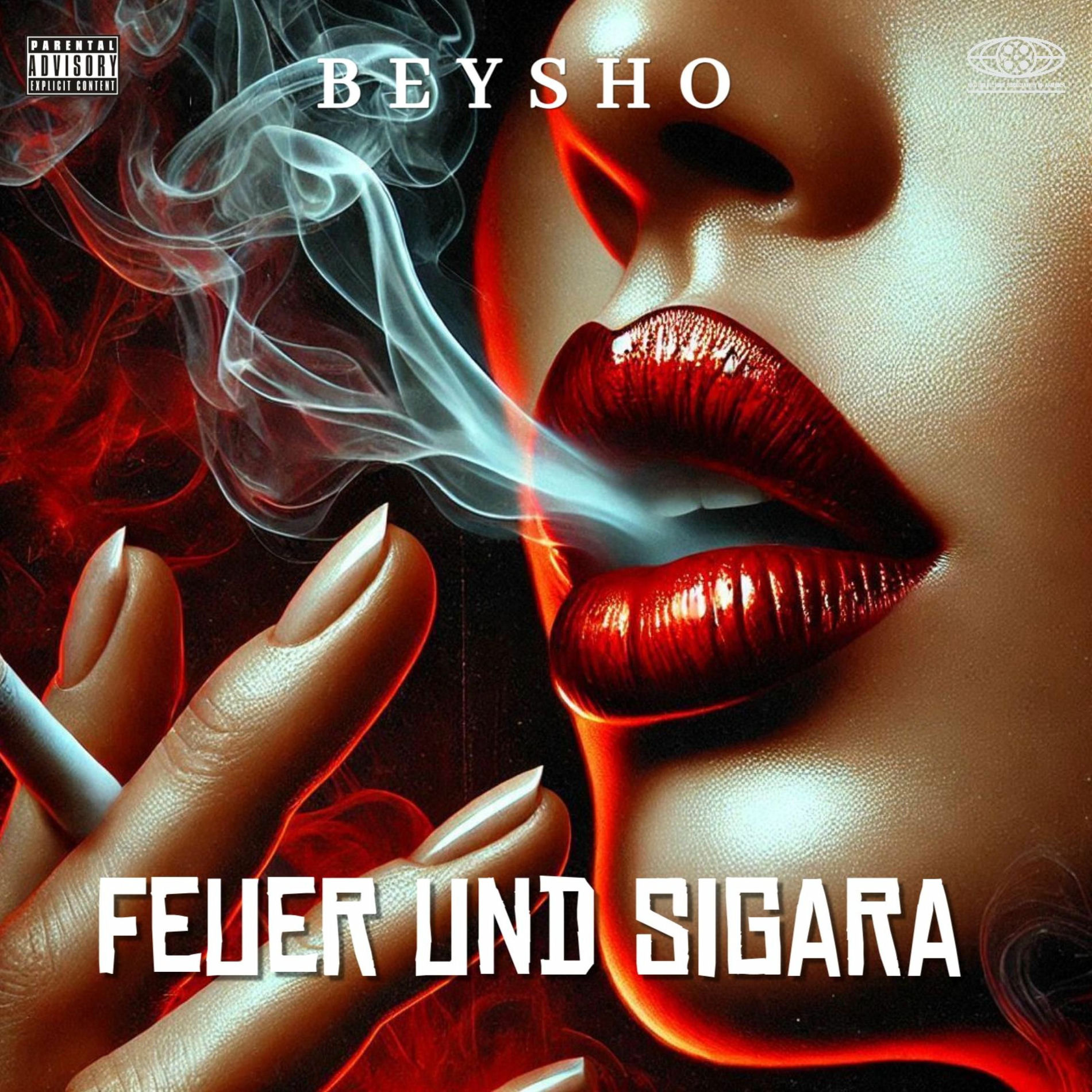 Album cover of Feuer und Sigara